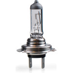 M-Tech H7 24V 100W PX26d Standard �������� ����� 1���. - (Z979)