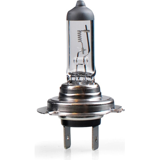 M-Tech H7 24V 100W PX26d Standard �������� ����� 1���. - (Z979)