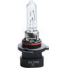 M-Tech HB3A 9005XS 12V 65W P20d-A Standard �������� 1���. - (Z86)