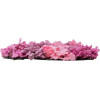 GloboStar Artificial Garden Roses Story Purple ������� ������������ ����� ���������� - ������� ����� ������� �������� �60 x �40 x �6cm - (78336)