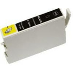 Ink cartridge Black replaces Epson C13T05414010, T0541 OEM - (T0541_IC)