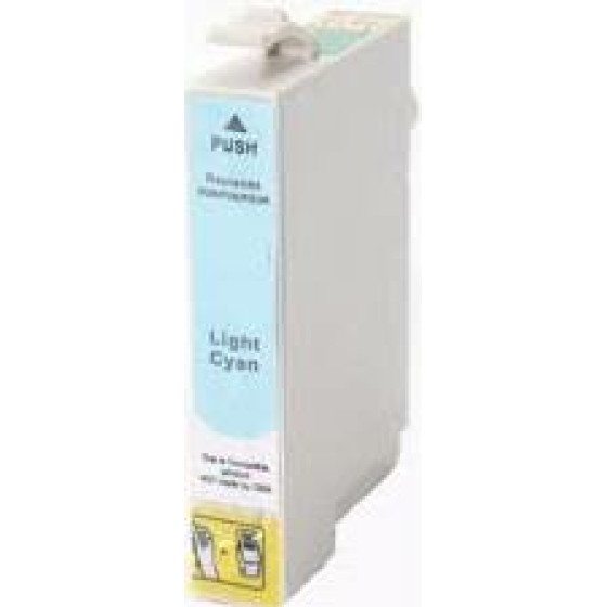 Ink cartridge Light Cyan replaces Epson C13T04854010, T0485 OEM - (T0485_IC)