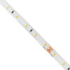 GloboStar Lilac ������ Led 6W/m 600lm/m 120� Dc 24V ��������� IP65 - 60 x Smd 2835 Led Chip/����� - �5000 x �8 x �2mm - ���� 5 ������ - Ultra ����� ����� 1800K - 5 ������ ������� - (70303)