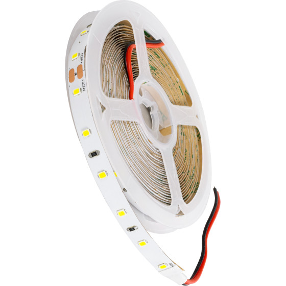 GloboStar Lilac ������ Led 6W/m 720lm/m 120� Dc 24V IP20 - 60 x Smd 2835 Led Chip/����� - �5000 x �8 x �1mm - ���� 5 ������ - ����� ����� 6000K - 5 ������ ������� - (70200)