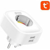 Gosund Smart Plug Smart ��������� �� 2 USB ����� - (SP112)