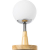 GloboStar Cove �������� ����������� ��������� �������� 1 x E27 AC220-240V IP20 - �12 x �25cm - ���� ������ & ������� ��������� ����� - 5 ������ ������� - (02036)