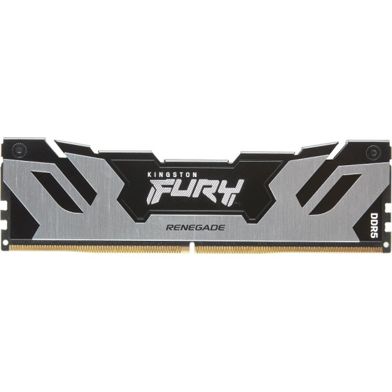 Kingston Memory Fury Renegade Silver, 6400MT/s, 24GB - (KF564C32RS-24)
