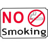 Auto Gs �������� ����������� No Smoking 30x20cm 1��� - (24659)