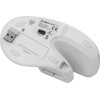 Sbox Ergonomic Wireless Mouse White - (VM-838W-W)