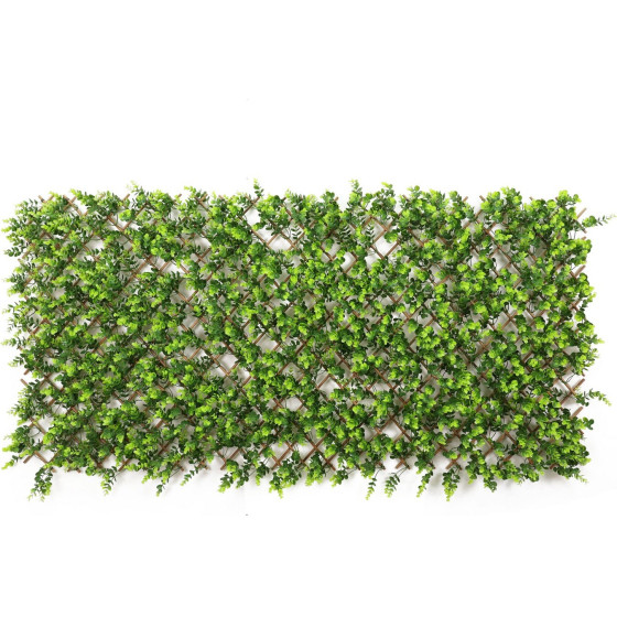 Supergreens ������� �������� ���������� ������ ''Aeterna'' ������� 90x200 ��.