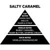 Auto Gs ��������� ����� �� Sticks - Diffuser Themagio Salty Caramel 100ml 1 ������� - (77336)