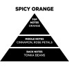 Auto Gs ��������� ����� �� Sticks - Diffuser Themagio Spicy Orange 200ml 1 ������� - (77333)