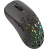 White Shark Rgb Gaming Mouse Tristan 12000DPi - (GM-9004)
