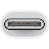 Apple USB-C To Lightning Adapter - (MUQX3ZMA)