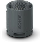 Sony Bluetooth Speaker SRS-XB100 Black - (SRSXB100B.CE7)