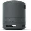 Sony Bluetooth Speaker SRS-XB100 Black - (SRSXB100B.CE7)