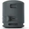 Sony Bluetooth Speaker SRS-XB100 Black - (SRSXB100B.CE7)