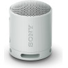 Sony Bluetooth Speaker SRS-XB100 Light Grey - (SRSXB100H.CE7)