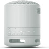 Sony Bluetooth Speaker SRS-XB100 Light Grey - (SRSXB100H.CE7)