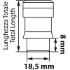 Lampa ��������� ��������� 12x1,50 42,2mm (19) ���� �� ������ K010 5��� - (MG20116SU)