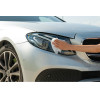 Lampa ���� ���������� ���������� �������/ ��������������� ����� ��� �������/�������� Xl 24x22 Cm - 24 TEM. - (38418)