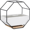 GloboStar Artificial Garden Bianco ������������ �������� ����� ������� - Flower Pot ����� �� ����� ��������� ������ ��� ���� ������ ���� �18 x �10 x �18cm - (20557)