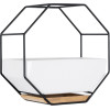 GloboStar Artificial Garden Bianco ������������ �������� ����� ������� - Flower Pot ����� �� ����� ��������� ������ ��� ���� ������ ���� �18 x �10 x �18cm - (20557)