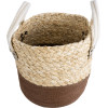 GloboStar Artificial Garden Carolina ������������ ������ ����� ������� - Flower Pot ���� �� ���� ��� ����� �23 x �23cm - (20578)