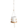 GloboStar Artificial Garden Usboa �������� ������������ �������� ����� ������� - Flower Pot ����� �� ������ ������������ ��� ���� ������ ���� �10 x �40cm - (20545)