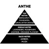 Auto Gs ��������� ����� �� Sticks - Diffuser Themagio Anthe 100ml 1 ������� - (77310)