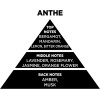 Auto Gs ��������� ����� �� Sticks - Diffuser Themagio Anthe 200ml 1 ������� - (77311)