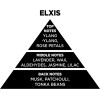 Auto Gs ��������� ����� �� Sticks - Diffuser Themagio Elxis 200ml 1 ������� - (77313)