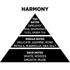 Auto Gs ��������� ����� �� Sticks - Diffuser Themagio Harmony 100ml 1 ������� - (77308)