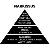 Auto Gs ��������� ����� �� Sticks - Diffuser Themagio Narcissus 100ml 1 ������� - (77320)
