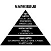 Auto Gs ��������� ����� �� Sticks - Diffuser Themagio Narcissus 200ml 1 ������� - (77321)
