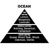 Auto Gs ��������� ����� �� Sticks - Diffuser Themagio Ocean 100ml 1 ������� - (77314)