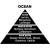 Auto Gs ��������� ����� �� Sticks - Diffuser Themagio Ocean 200ml 1 ������� - (77315)