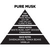 Auto Gs ��������� ����� �� Sticks - Diffuser Themagio Pure Musk 200ml 1 ������� - (77301)