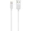 Usams ������� Lightning �� Usb US-SJ097, 10.5W, 1m, ����� - (IPUSBXD02)