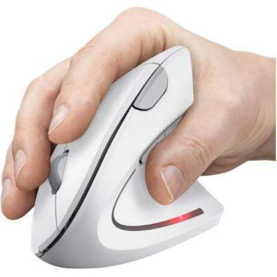 Trust Mouse Wrls Verto Ergo Wht - (25132)