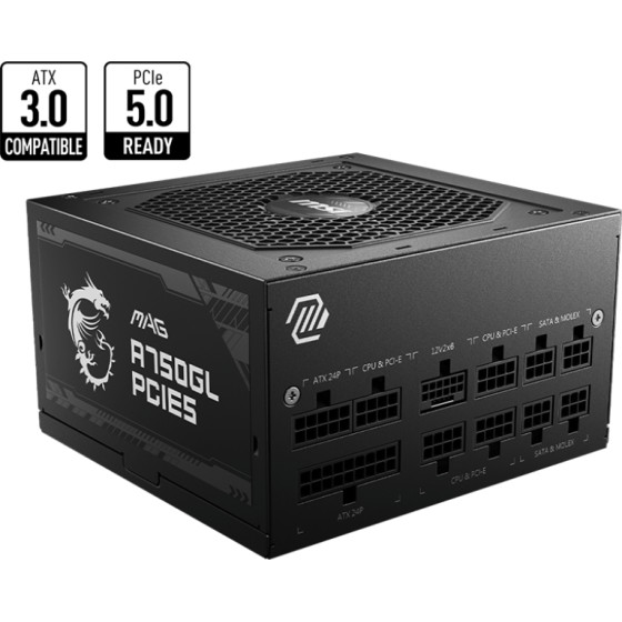 MSI Mpg A750GL - (306-7ZP8B11-CE0)
