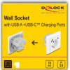 DeLock ����� ������ �� ����� �������� Usb & USB-C, 18W PD, ����� - (11499)