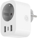 Entac Smart Single Socket Adapter 2.4A WIBLE
