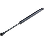 NTY Bmw Z4 E85 2002-2009 ��������� ���� ������� 296mm/250N orig.51247016186 ��� - 1 ���. - (AE-BM-038)