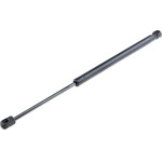 NTY Fiat Sedici 2006-2014 ��������� ���� ������� 445mm/420N orig.71743352 ��� - 1 ���. - (AE-FT-028)