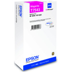 Epson Cartridge Magenta Xxl - (C13T75434N)