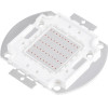 GloboStar ������ ������ Led Cob Bridgelux 50W 2500lm Dc 20-24V - �5.6 x �5.2 x �0.6cm - ������� - 2 ������ ������� - (73768)