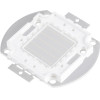 GloboStar ������ ������ Led Cob Bridgelux 50W 2500lm Dc 28-32V - �5.6 x �5.2 x �0.6cm - ���� - 2 ������ ������� - (73774)