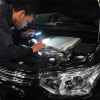 PROPLUS Led ����� �������� ����������, 100lm, ���� - (440270)