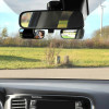 PROPLUS ��� ���������� ��������� ����������� 36x95mm, 2��� - (750613)